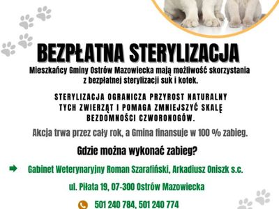 Bezpłatna sterylizacja