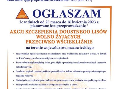 Szczepienie lisów wolno żyjących przeciwko wściekliźnie