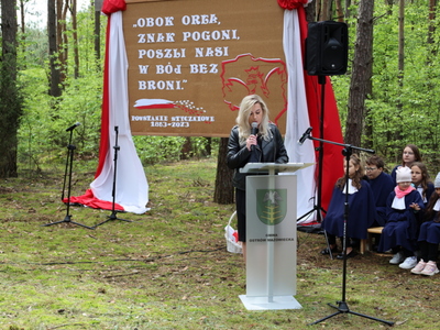 160. rocznica Bitwy pod Stokiem