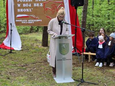 160. rocznica Bitwy pod Stokiem