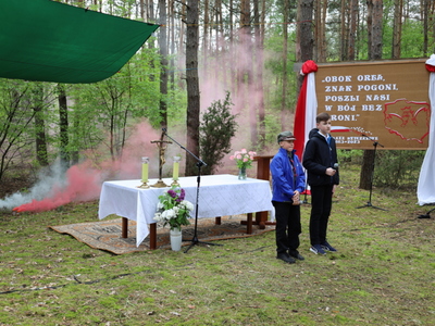 160. rocznica Bitwy pod Stokiem