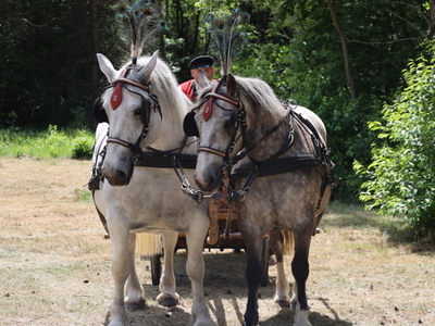 160. rocznica Bitwy pod Nagoszewem 