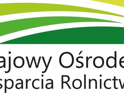 Program Stypendiów Pomostowych 2023/2024