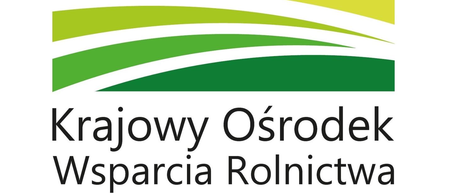 Program Stypendiów Pomostowych 2023/2024