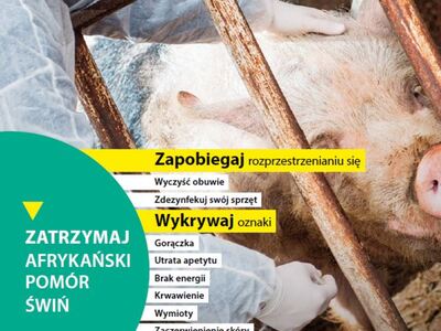 Plakat 1