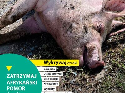 Plakat 2