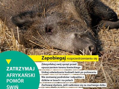 Plakat 3