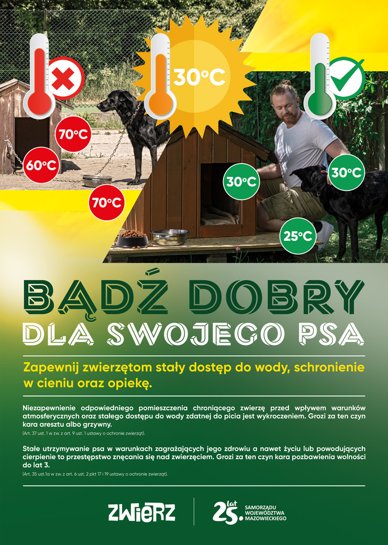 Bądź dobry dla swojego psa!