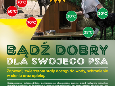 Bądź dobry dla swojego psa!